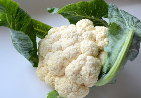 西蘭花是花菜嗎？西蘭花是菜花嗎