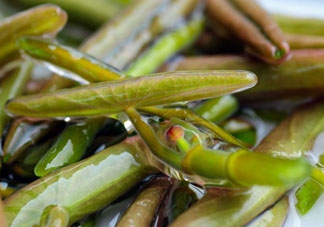 莼菜怎么做？莼菜怎么做好吃？