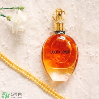 roberto cavalli是什么牌子？羅伯托卡沃利是幾線什么檔次？