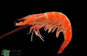 基圍蝦不能和什么一起吃？基圍蝦和什么不能一起吃？
