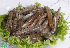 基圍蝦不能和什么一起吃？基圍蝦和什么不能一起吃？
