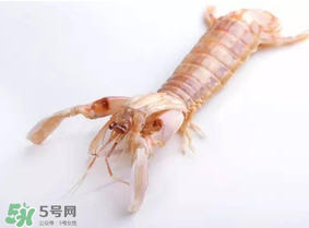 皮皮蝦什么時(shí)候有籽？皮皮蝦幾月份有籽？