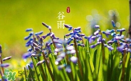 谷雨養(yǎng)生吃什么？谷雨養(yǎng)生常識