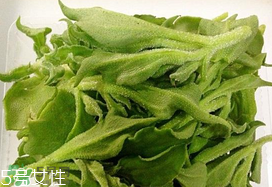 ?冰菜多少錢一斤？? 今年冰菜多少錢一斤？
