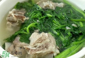西洋菜是什么菜？西洋菜是什么樣的