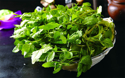 西洋菜怎么摘洗？西洋菜怎么洗才干凈
