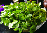 西洋菜怎么摘洗？西洋菜怎么洗才干凈