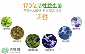 益生菌哪個(gè)牌子好？哪個(gè)牌子的益生菌好？