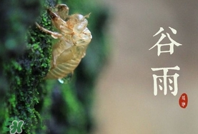 谷雨養(yǎng)生吃什么？谷雨養(yǎng)生常識