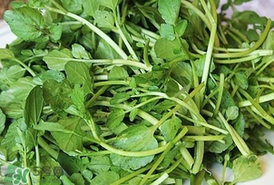西洋菜是什么菜？西洋菜是什么樣的