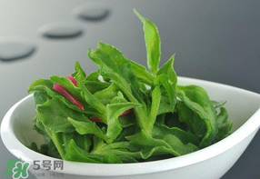 冰草可以放冰箱嗎？冰草能用冰塊保存嗎？