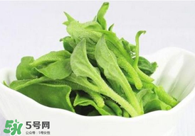 冰草多少錢一斤？非洲冰草多少錢一斤？