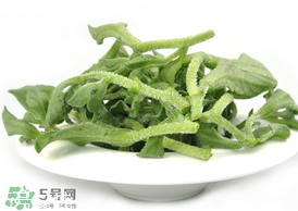?冰草為什么會(huì)酸？冰草為什么是酸的？
