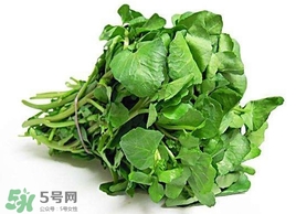 哺乳期能吃西洋菜嗎？哺乳期可以吃西洋菜嗎