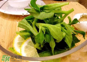冰草用什么醬？冰草用什么醬好吃？