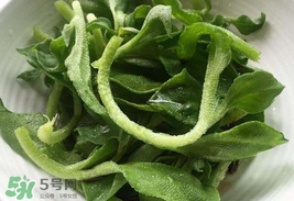 冰菜為什么會酸？冰菜為什么是咸的？