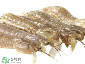 蝦爬子什么季節(jié)最肥？蝦爬子幾月份最肥？