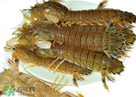 蝦爬子能冷凍嗎？蝦爬子可以冷藏嗎？