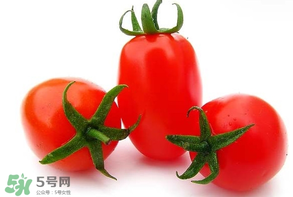圣女果是什么？圣女果是西紅柿嗎