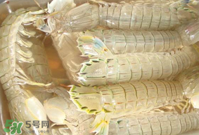 蝦爬子綠色怎么回事？蝦爬子變黑還能吃嗎？
