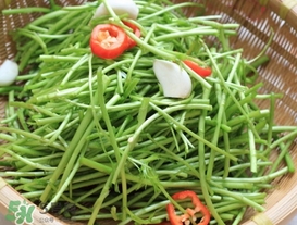 泥蒿怎么做好吃？泥蒿做法