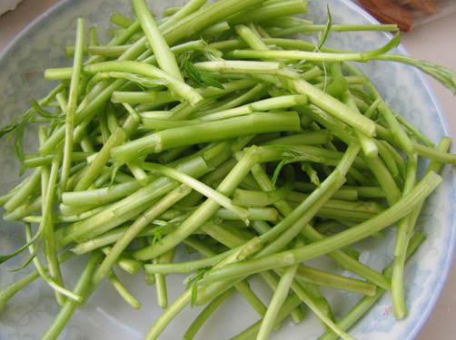 蘆蒿是發(fā)物嗎？蘆蒿是不是發(fā)物