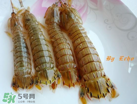 蝦爬子能放多久？蝦爬子怎么保存時間長？