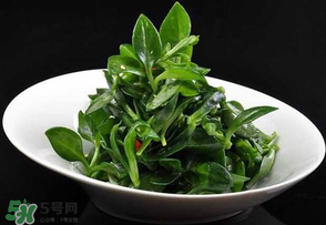 冰草是田七嗎？冰草和田七一樣嗎？