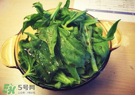 吃冰菜有什么好處？冰菜吃了有什么好處？