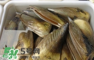 青口貝如何清洗？青口貝怎么處理