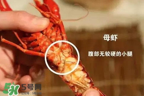 蝦子怎么吃？蝦子的吃法