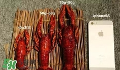 蝦子怎么吃？蝦子的吃法