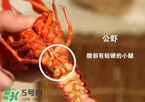 蝦子怎么吃？蝦子的吃法