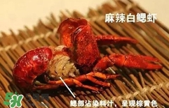 蝦子怎么吃？蝦子的吃法