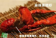 蝦子怎么吃？蝦子的吃法