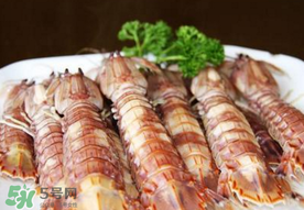 蝦爬子是寒性的嗎？蝦爬子是熱性的還是寒性的？