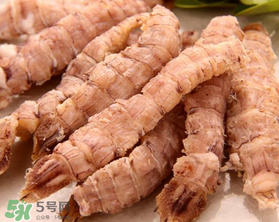 蝦爬子是皮皮蝦嗎？皮皮蝦和蝦爬子的區(qū)別