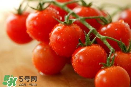 小番茄是轉基因的嗎？小番茄是不是轉基因食品