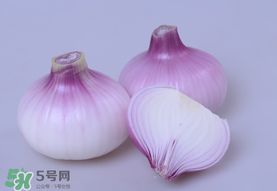 洋蔥和皮皮蝦能一起吃嗎？皮皮蝦和洋蔥可以同吃嗎？