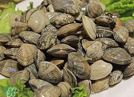 蜆子不能和什么一起吃？吃蜆子不能吃什么？