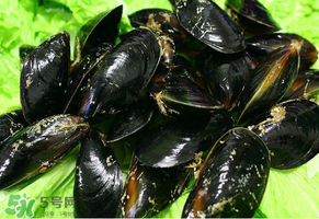 哪些人不適合吃淡菜？淡菜什么人不能吃？