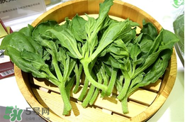 冰菜孕婦能吃嗎？孕婦能不能吃冰菜？