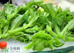 冰菜孕婦能吃嗎？孕婦能不能吃冰菜？
