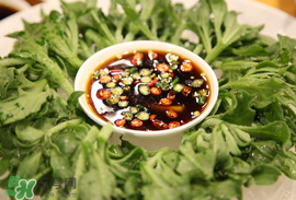 冰菜怎么涼拌？冰菜可以用沙拉醬拌嗎？