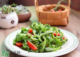 冰菜怎么涼拌？冰菜可以用沙拉醬拌嗎？