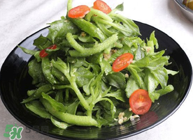 冰菜怎么涼拌？冰菜可以用沙拉醬拌嗎？