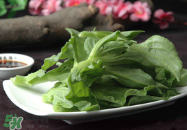 冰菜可以生吃嗎？冰菜能生吃嗎？