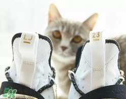 nike lebron 14怎么樣？耐克lebron 14測(cè)評(píng)