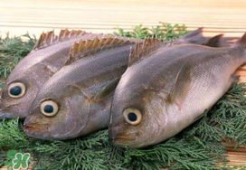 蠶豆和魚能一起吃嗎？蠶豆和魚吃相克嗎？