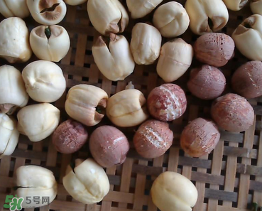 芡實(shí)不能和什么一起吃？芡實(shí)不能與什么同食？